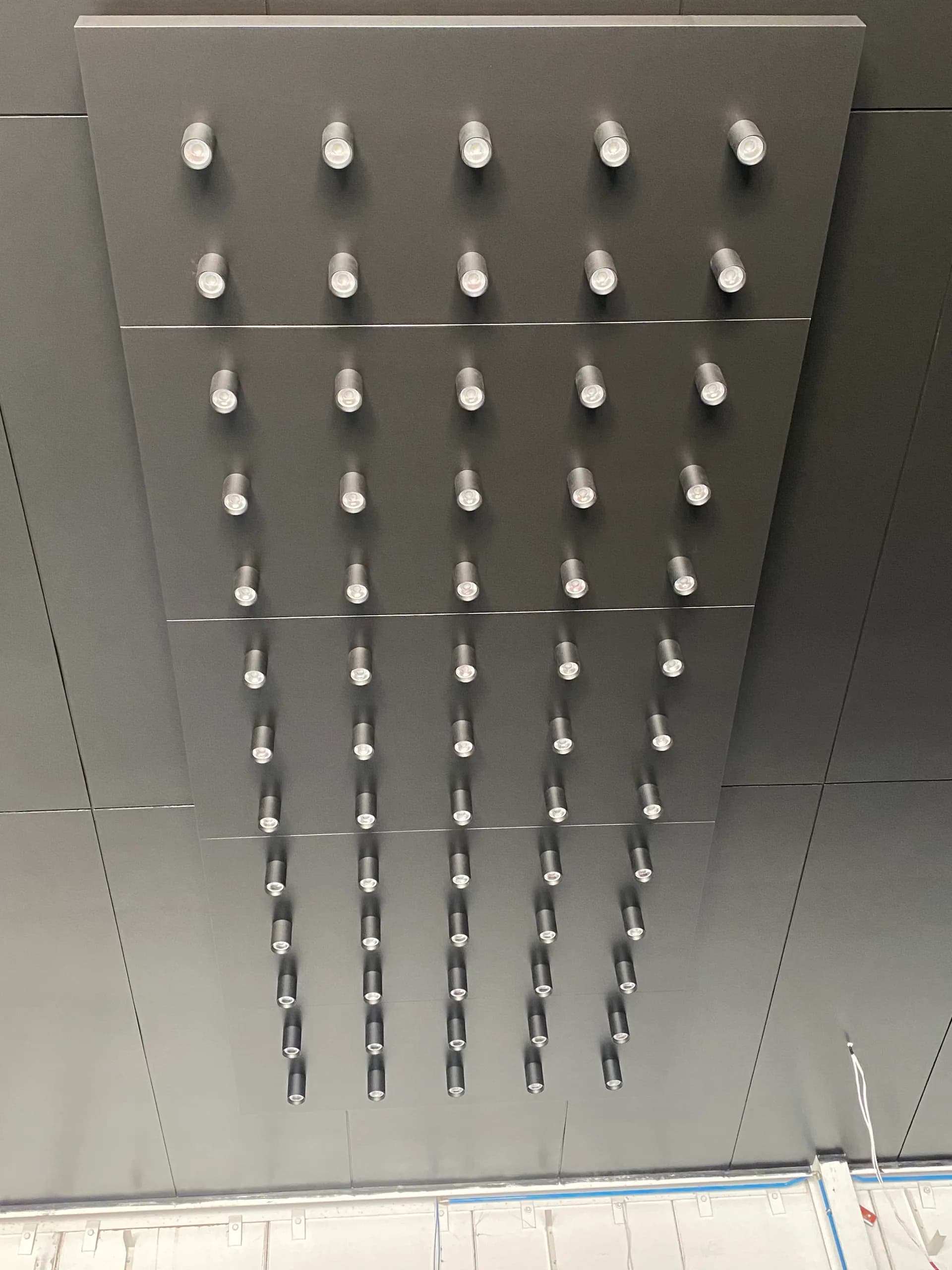 Large panel with decorative bulbs