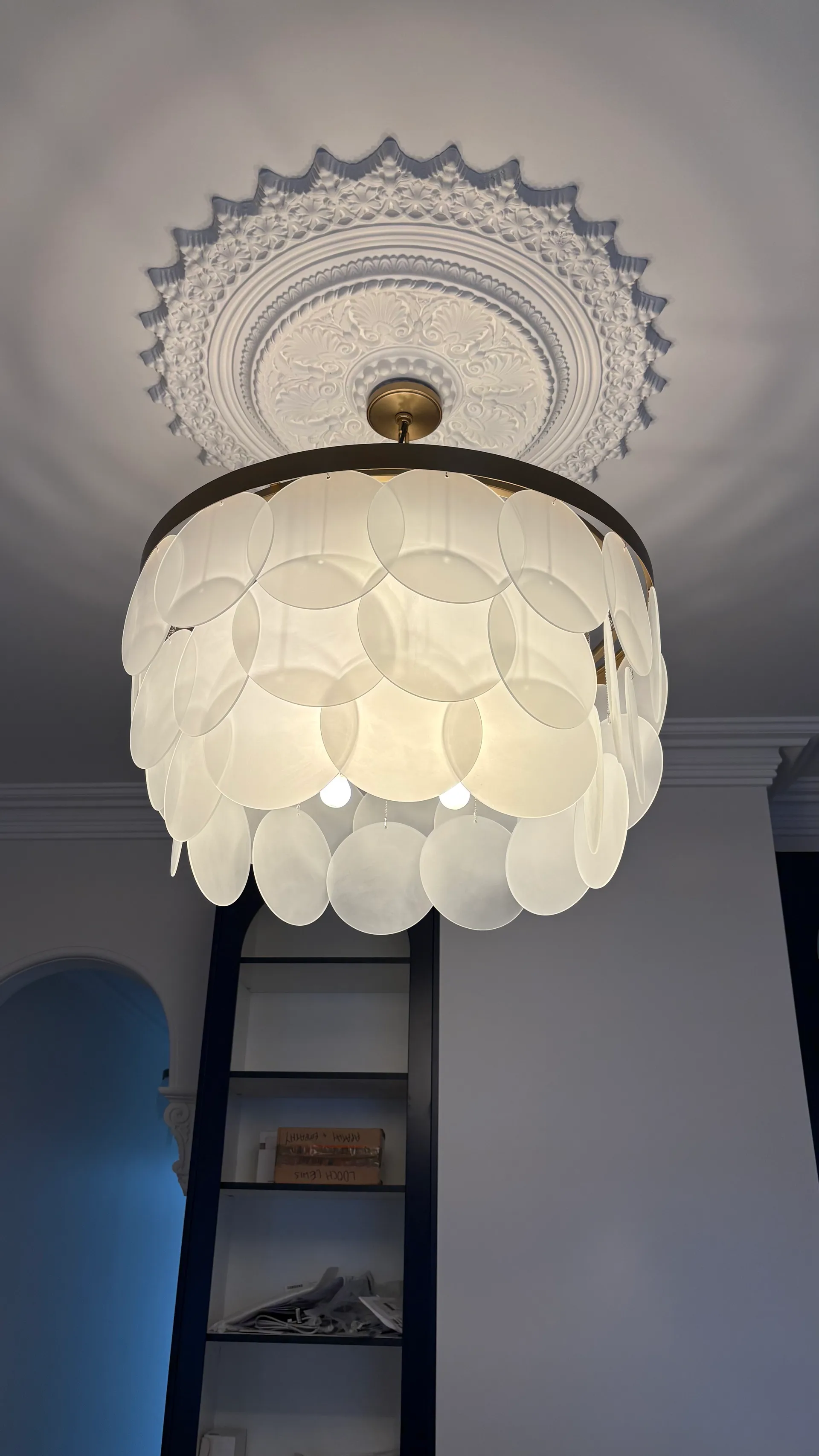 Decorative pendant light